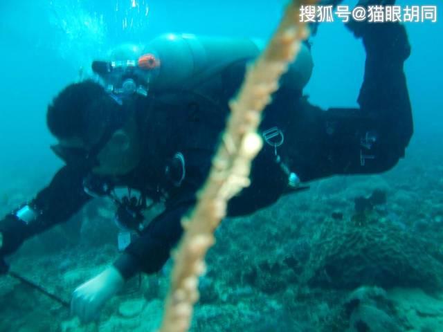 潮评丨从上海坐公交到漠河,享受“慢之美”也是积极的生活方式